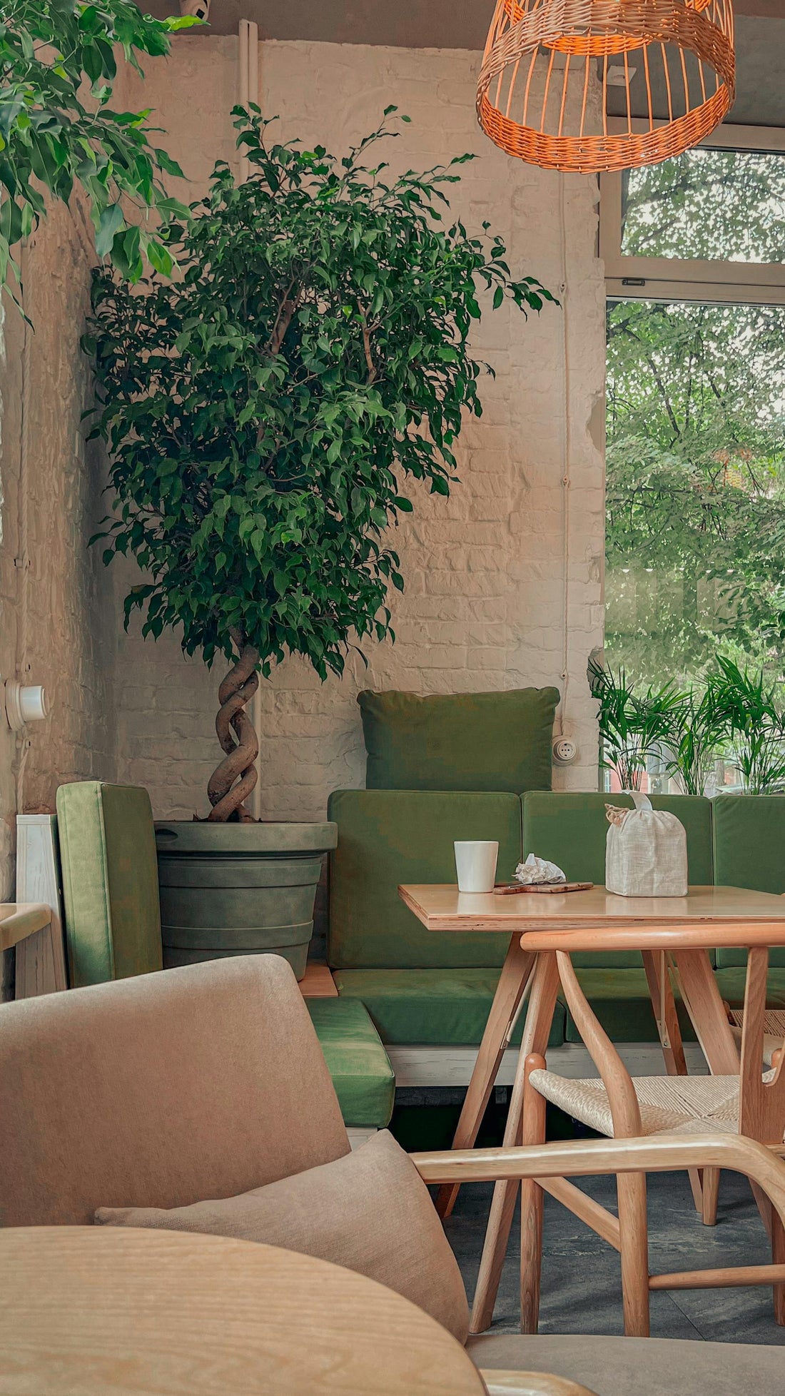 Nature au Salon