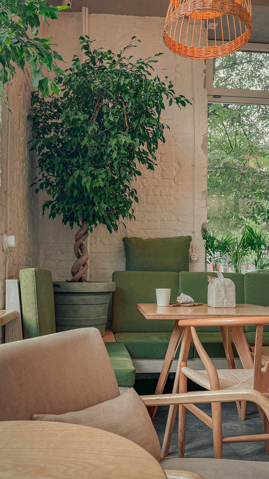Nature au Salon